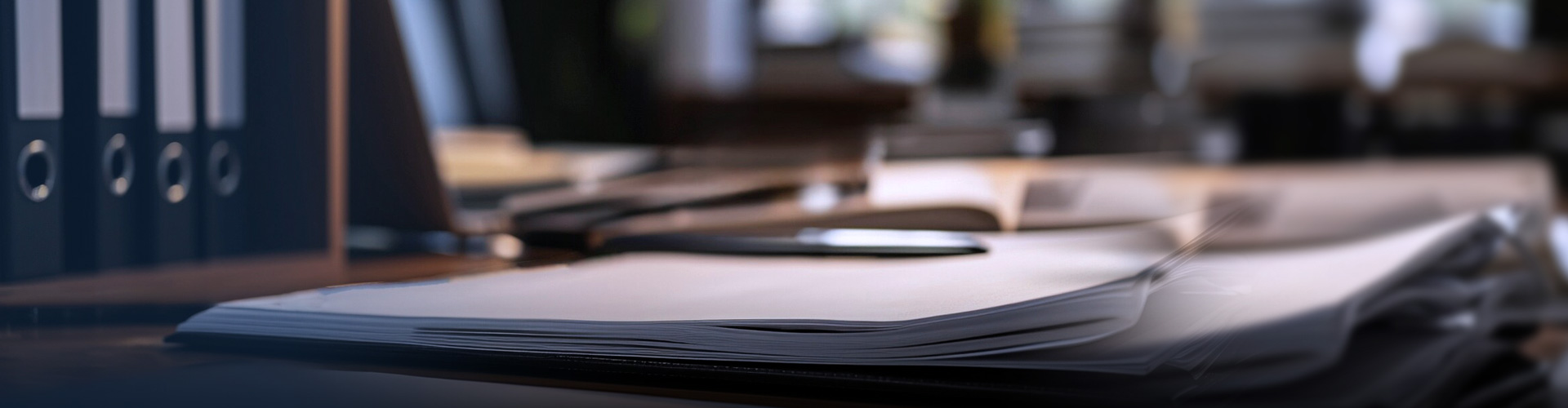 ִ������