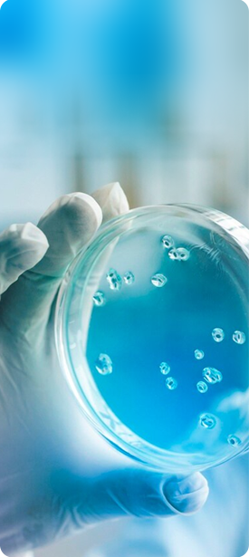 �з�����